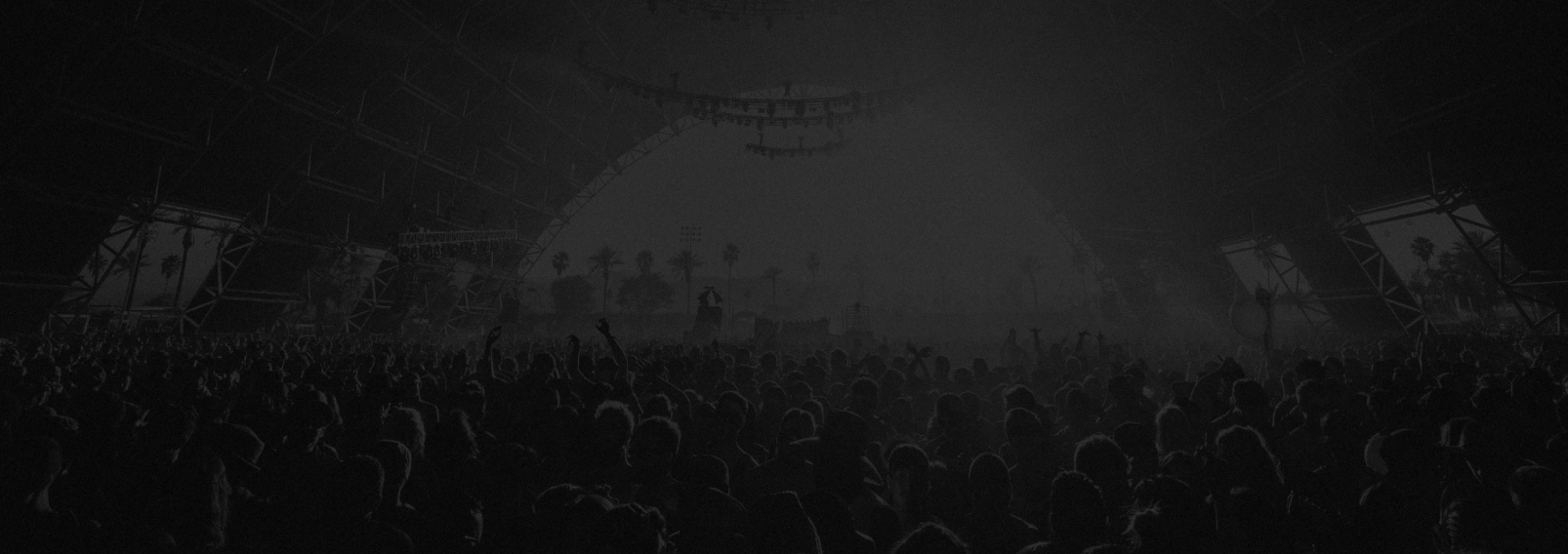 crowd in a music festival